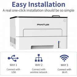 IMPRESORA PANTUM LASER MONOCROMO P3010DW 30PPM 250H USB WIFI RJ45 NFC 3Y